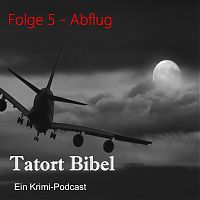 Titelbild Podcast. Flugzeug vor wolkigem Himmel mit Mond