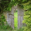 eine Holztür im Garten