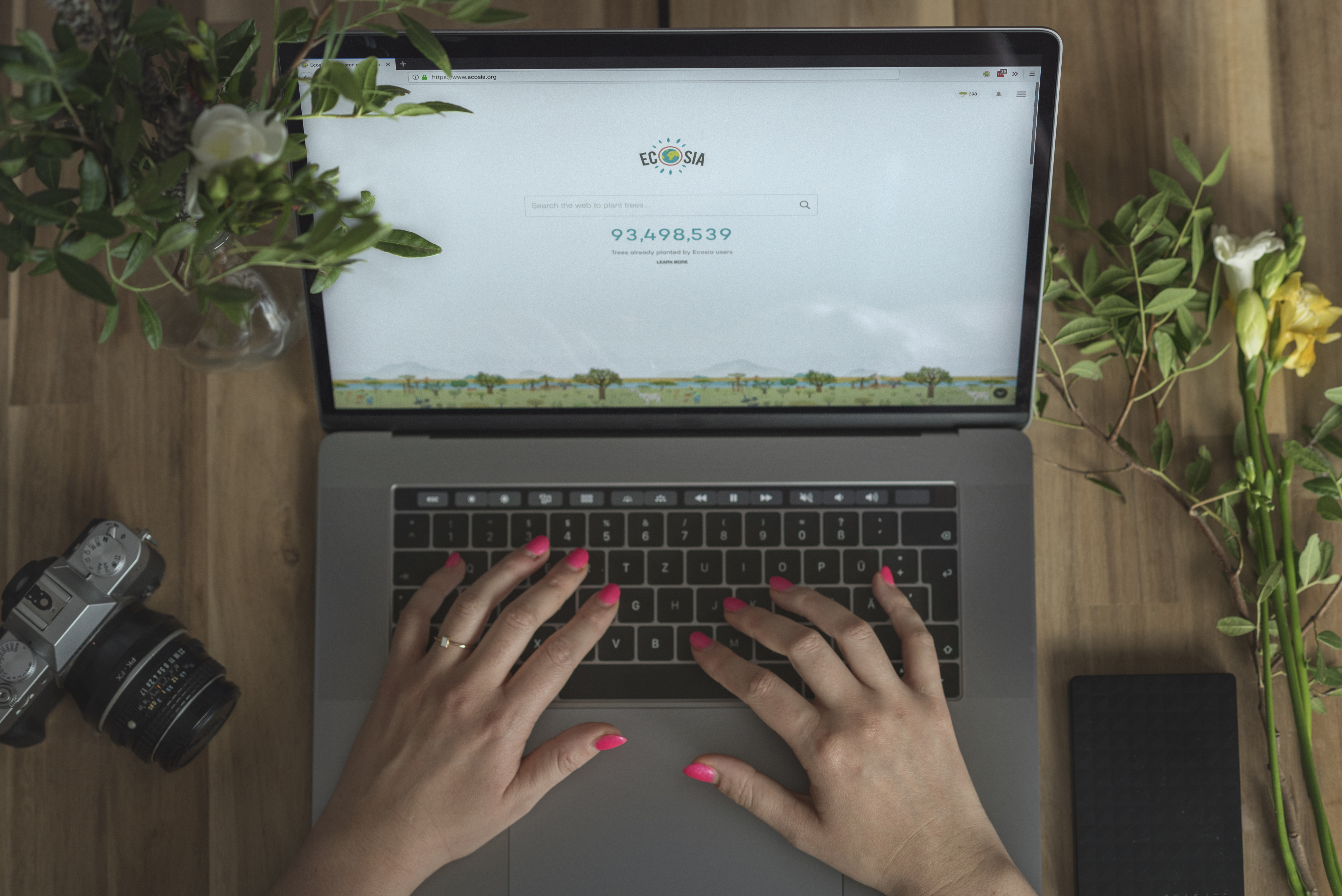 ein Laptop mit Suchmaschine Ecosia