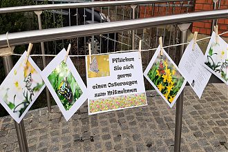 Segen an Wäscheleine