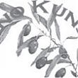 Logo Kino Kunst