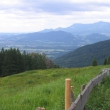 Almfrühling